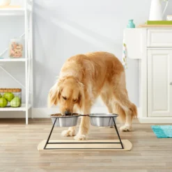 Frisco Pyramid Elevated Stainless Steel Double Diner Dog & Cat Bowl -ROYAL CANIN Shop 159884 PT3. AC SS1800 V1561123346