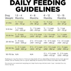 Go! Solutions Carnivore Grain-Free Chicken, Turkey + Duck Puppy Recipe Dry Dog Food 14 Go! Solutions Carnivore Grain-Free Chicken, Turkey + Duck Puppy Recipe Dry Dog Food -ROYAL CANIN Shop 162809 PT7. AC SS1800 V1638491220