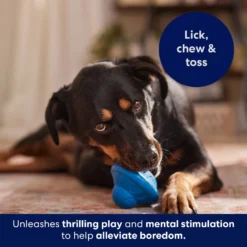 Frisco Flying Saucer Rubber Treat Dispenser Dog Toy -ROYAL CANIN Shop 164757 PT5. AC SS1800 V1691784247