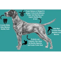 Chicken Soup For The Soul Large Breed Chicken, Turkey & Brown Rice Recipe Dry Dog Food 12 Chicken Soup For The Soul Large Breed Chicken, Turkey & Brown Rice Recipe Dry Dog Food -ROYAL CANIN Shop 165111 PT3. AC SS1800 V1691091199