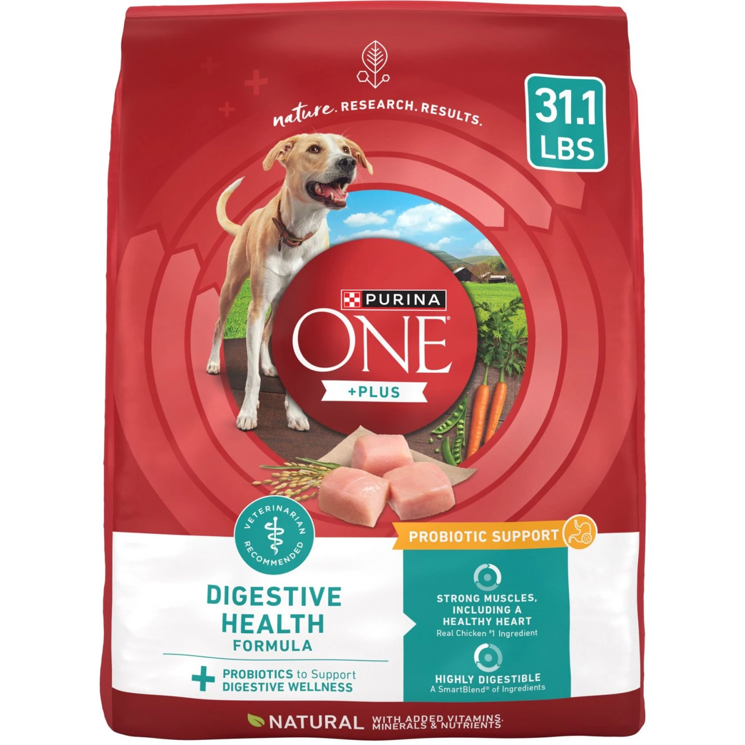 Purina ONE +Plus Adult Digestive Health Formula Dry Dog Food 1 Purina ONE +Plus Adult Digestive Health Formula Dry Dog Food