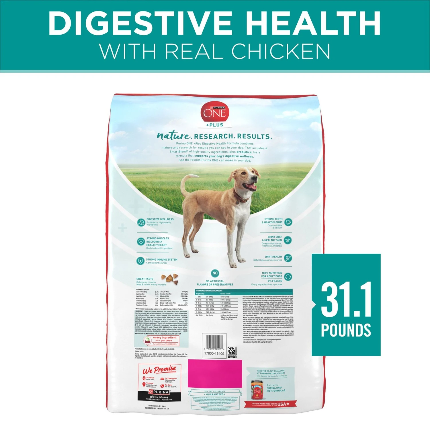 Purina ONE +Plus Adult Digestive Health Formula Dry Dog Food 2 Purina ONE +Plus Adult Digestive Health Formula Dry Dog Food - Image 2