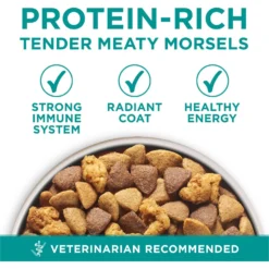 Purina ONE +Plus Adult Digestive Health Formula Dry Dog Food 11 Purina ONE +Plus Adult Digestive Health Formula Dry Dog Food -ROYAL CANIN Shop 166138 PT2. AC SS1800 V1683576214