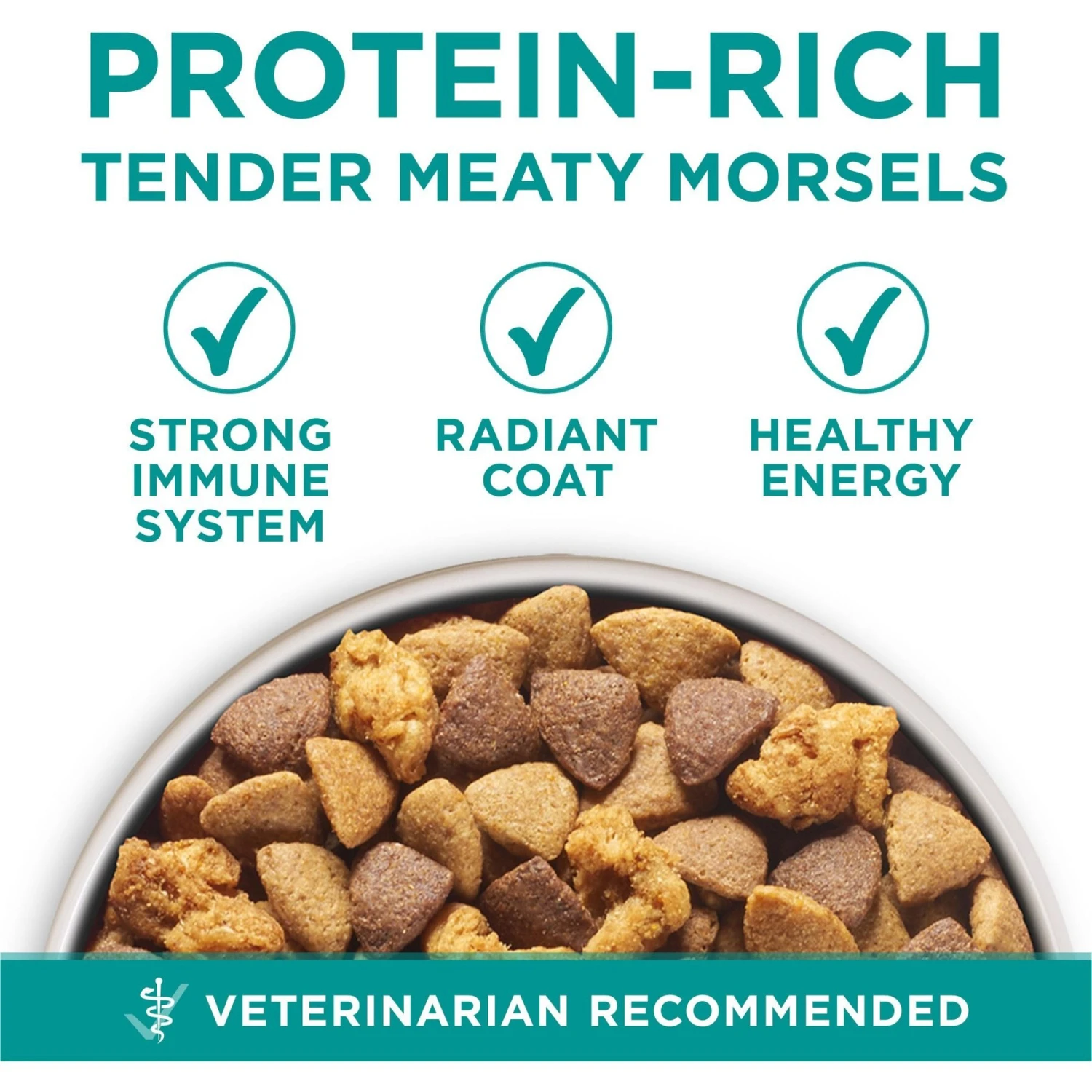 Purina ONE +Plus Adult Digestive Health Formula Dry Dog Food 3 Purina ONE +Plus Adult Digestive Health Formula Dry Dog Food - Image 3