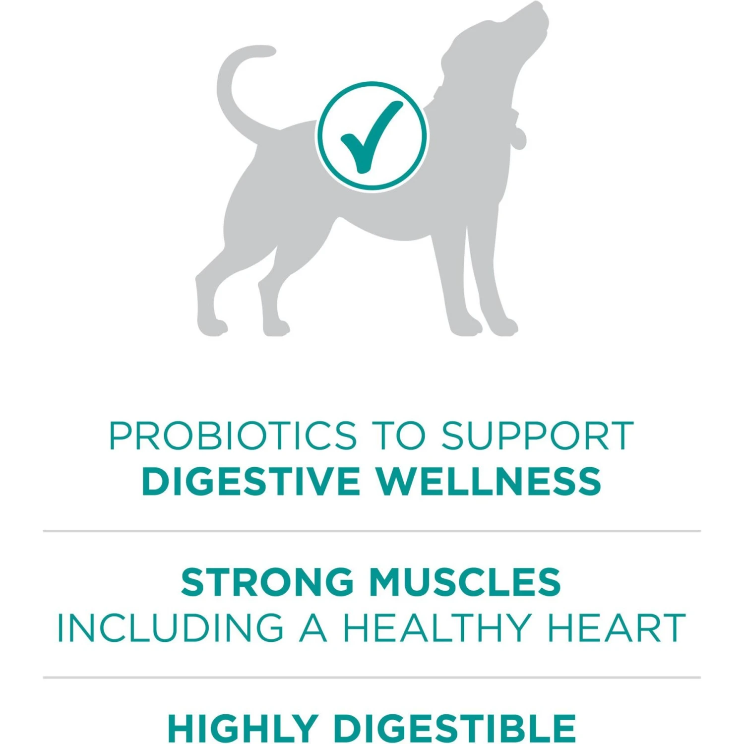 Purina ONE +Plus Adult Digestive Health Formula Dry Dog Food 5 Purina ONE +Plus Adult Digestive Health Formula Dry Dog Food - Image 5