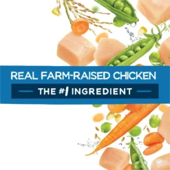 Purina Beneful Healthy Puppy With Farm Raised Chicken High Protein Dry Dog Food -ROYAL CANIN Shop 173762 PT6. AC SS1800 V1695736852