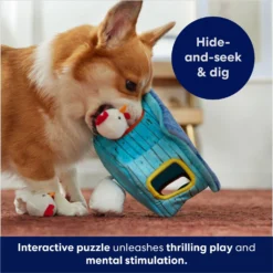 Frisco Chicken Coop Hide & Seek Puzzle Plush Squeaky Dog Toy -ROYAL CANIN Shop 174755 PT5. AC SS1800 V1691783971