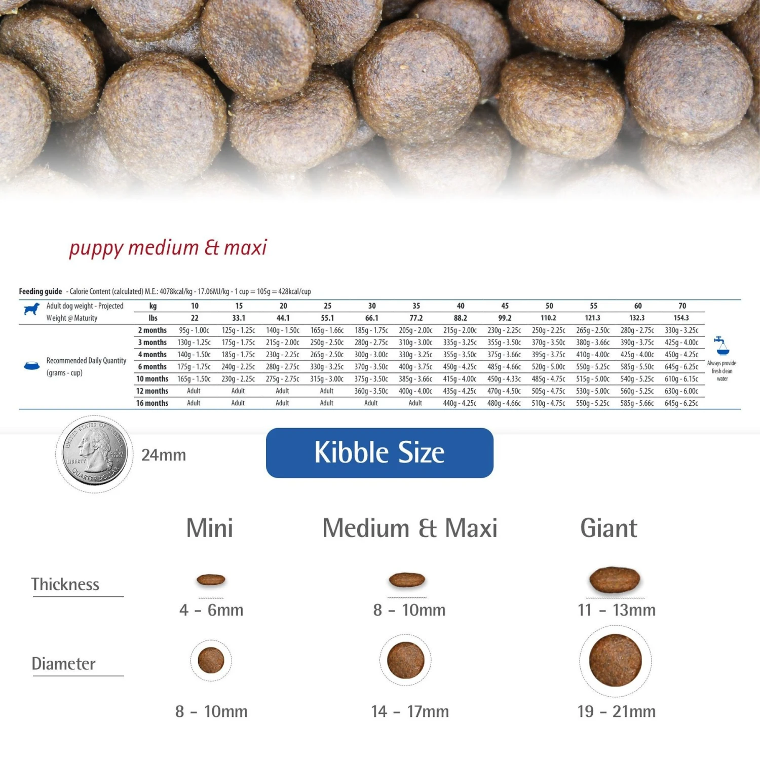 Farmina N&D Ancestral Grain Chicken & Pomegranate Medium & Maxi Puppy Dry Dog Food 5 Farmina N&D Ancestral Grain Chicken & Pomegranate Medium & Maxi Puppy Dry Dog Food - Image 5