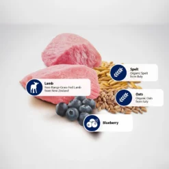 Farmina N&D Ancestral Grain Lamb & Blueberry Medium & Maxi Adult Dry Dog Food -ROYAL CANIN Shop 175530 PT4. AC SS1800 V1591127791