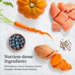 American Journey Healthy Weight Salmon & Sweet Potato Recipe Grain-Free Dry Dog Food, 24-lb Bag -ROYAL CANIN Shop 183120 PT5. AC SS1800 V1680545231