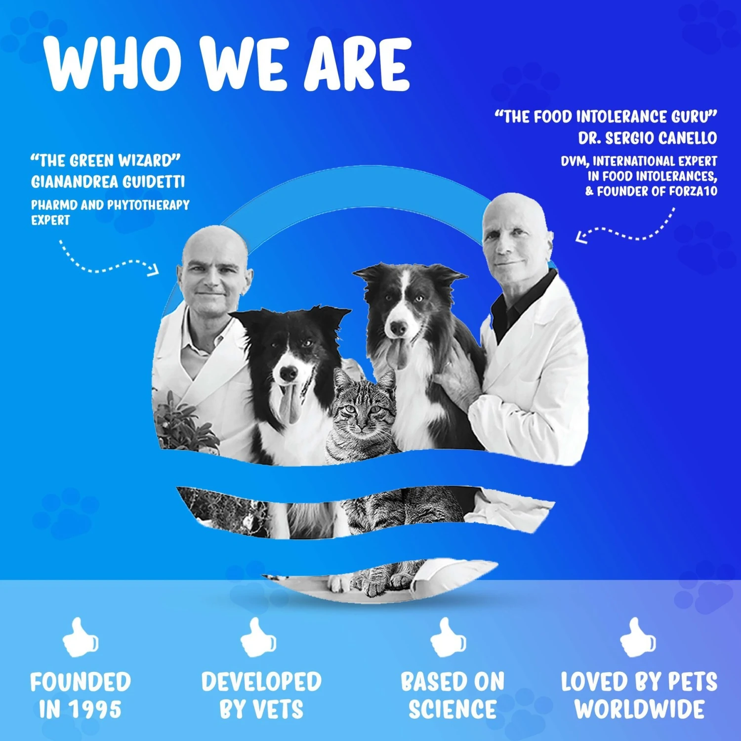 Forza10 Nutraceutic Active Kidney Renal Support Diet Dry Dog Food 4 Forza10 Nutraceutic Active Kidney Renal Support Diet Dry Dog Food - Image 4