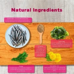 Forza10 Nutraceutic Legend Digestion Grain-Free Wild Caught Anchovy Dry Dog Food -ROYAL CANIN Shop 183221 PT5. AC SS1800 V1563547039