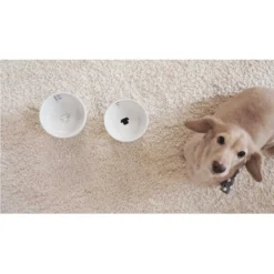 Necoichi Ceramic Elevated Dog Food Bowl, 1.5-cup -ROYAL CANIN Shop 183507 PT8. AC SS1800 V1627495579