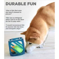 Outward Hound Puzzle Cube Interactive Dog Toy 11 Outward Hound Puzzle Cube Interactive Dog Toy -ROYAL CANIN Shop 190628 PT3. AC SS1800 V1636502633