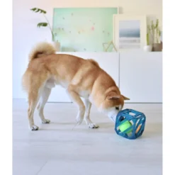 Outward Hound Puzzle Cube Interactive Dog Toy 13 Outward Hound Puzzle Cube Interactive Dog Toy -ROYAL CANIN Shop 190628 PT5. AC SS1800 V1636522349