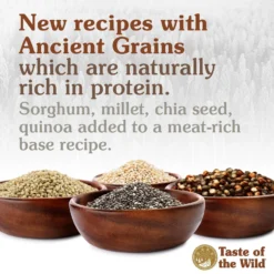 Taste Of The Wild Ancient Prairie With Ancient Grains Dry Dog Food 13 Taste Of The Wild Ancient Prairie With Ancient Grains Dry Dog Food -ROYAL CANIN Shop 191337 PT5. AC SS1800 V1620745953