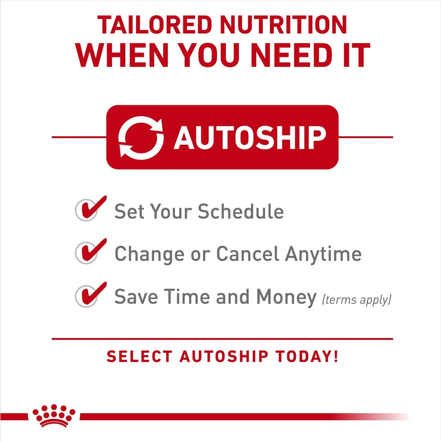 Royal Canin Canine Care Nutrition Large Comfort Care Dry Dog Food 5 Royal Canin Canine Care Nutrition Large Comfort Care Dry Dog Food - Image 5