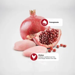 Farmina N&D Prime Chicken & Pomegranate Mini Puppy Dry Dog Food -ROYAL CANIN Shop 196207 PT4. AC SS1800 V1591128128