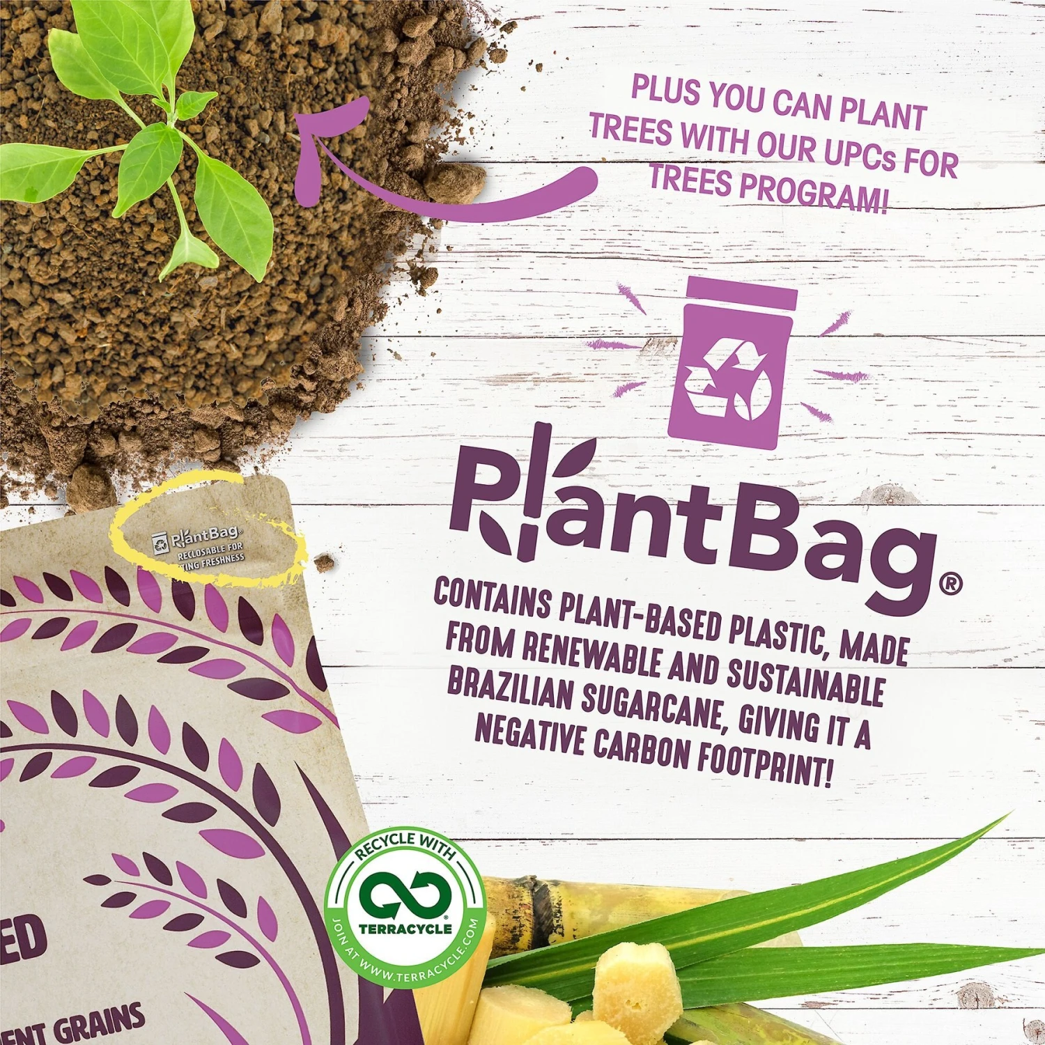 Earthborn Holistic Unrefined Roasted Lamb With Ancient Grains & Superfoods Dry Dog Food 7 Earthborn Holistic Unrefined Roasted Lamb With Ancient Grains & Superfoods Dry Dog Food - Image 7