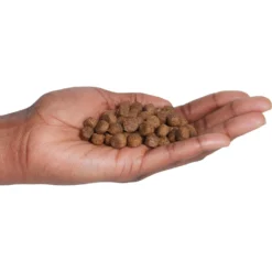 Country Vet Naturals 24/14 Healthy Diet Dry Dog Food -ROYAL CANIN Shop 199175 PT2. AC SS1800 V1569429663