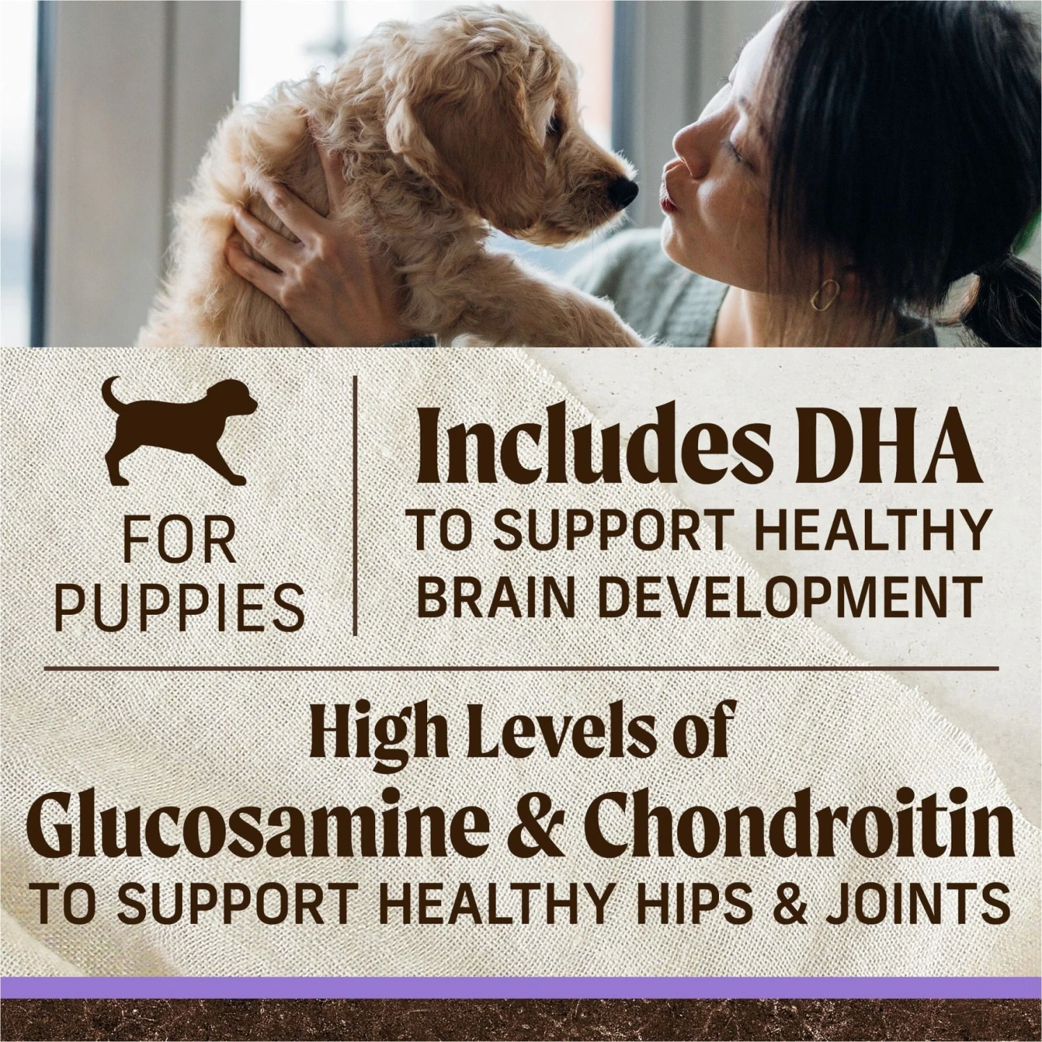 Merrick Grain-Free Dry Puppy Food Real Chicken & Sweet Potato Recipe 9 Merrick Grain-Free Dry Puppy Food Real Chicken & Sweet Potato Recipe - Image 9