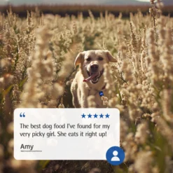 Farmina N&D Ancestral Grain Lamb & Blueberry Recipe Puppy Mini Dry Dog Food -ROYAL CANIN Shop 207655 PT7. AC SS1800 V1678910005