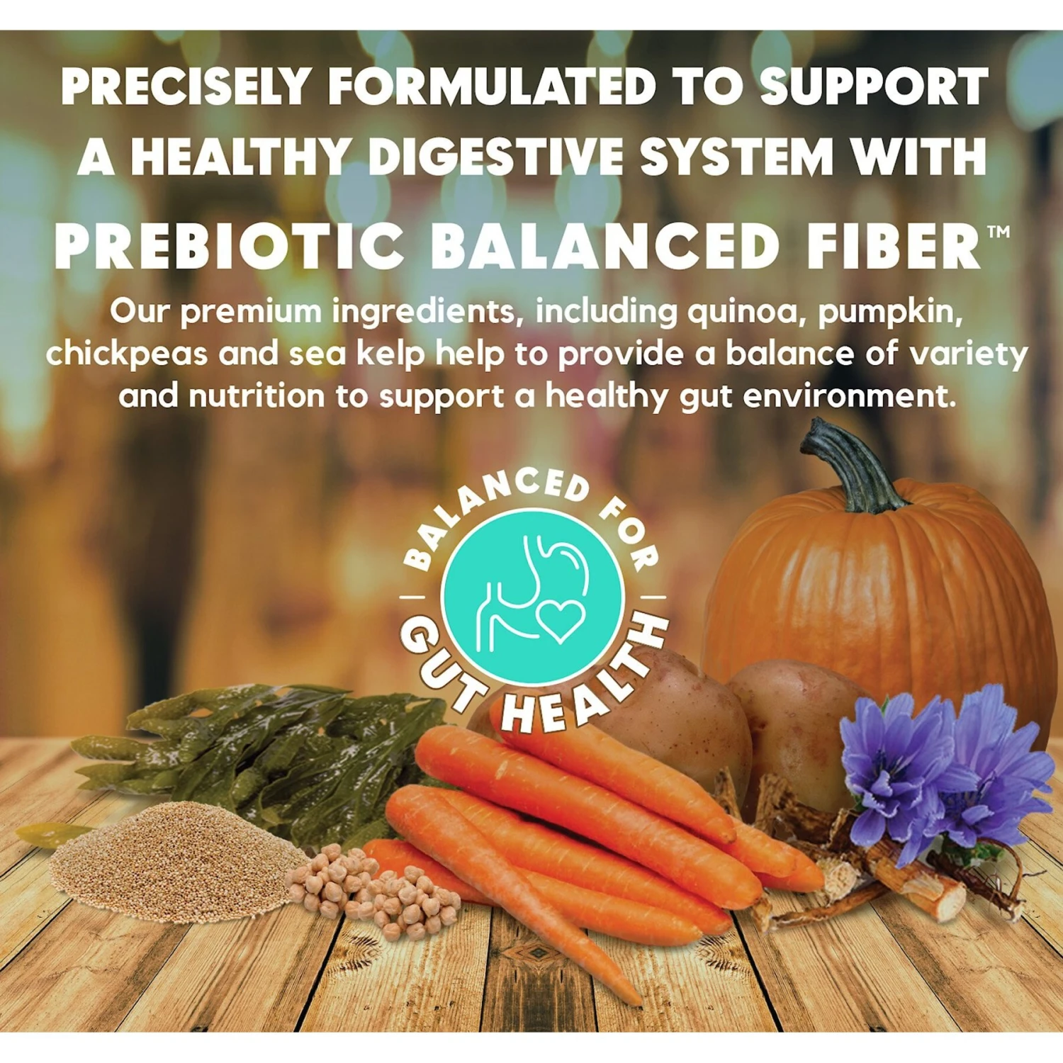 Lucy Pet Products Limited Ingredient Diet Chicken, Brown Rice & Pumpkin Formula Dry Dog Food 4 Lucy Pet Products Limited Ingredient Diet Chicken, Brown Rice & Pumpkin Formula Dry Dog Food - Image 4