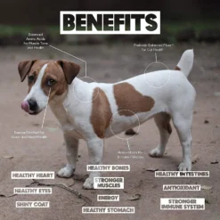 Lucy Pet Products Limited Ingredient Diet Chicken, Brown Rice & Pumpkin Formula Dry Dog Food 13 Lucy Pet Products Limited Ingredient Diet Chicken, Brown Rice & Pumpkin Formula Dry Dog Food -ROYAL CANIN Shop 212701 PT4. AC SS1800 V1575927233