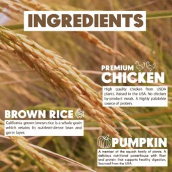 Lucy Pet Products Limited Ingredient Diet Chicken, Brown Rice & Pumpkin Formula Dry Dog Food 15 Lucy Pet Products Limited Ingredient Diet Chicken, Brown Rice & Pumpkin Formula Dry Dog Food -ROYAL CANIN Shop 212701 PT6. AC SS1800 V1575927235