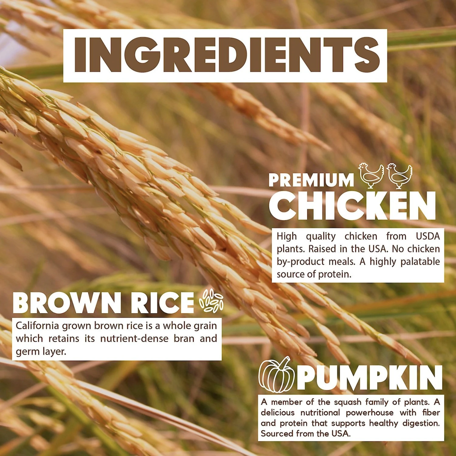 Lucy Pet Products Limited Ingredient Diet Chicken, Brown Rice & Pumpkin Formula Dry Dog Food 7 Lucy Pet Products Limited Ingredient Diet Chicken, Brown Rice & Pumpkin Formula Dry Dog Food - Image 7