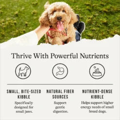 American Journey Protein & Grains Small Breed Chicken, Brown Rice & Vegetables Recipe Adult Dry Dog Food -ROYAL CANIN Shop 213621 PT4. AC SS1800 V1668737517