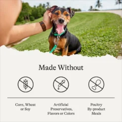 American Journey Protein & Grains Small Breed Chicken, Brown Rice & Vegetables Recipe Adult Dry Dog Food -ROYAL CANIN Shop 213621 PT6. AC SS1800 V1680624917