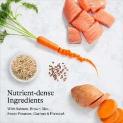 American Journey Protein & Grains Small Breed Salmon, Brown Rice & Vegetables Recipe Adult Dry Dog Food -ROYAL CANIN Shop 213623 PT5. AC SS1800 V1680624917