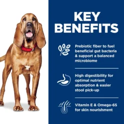 Hill's Science Diet Adult Sensitive Stomach & Skin Large Breed Chicken & Barley Recipe Dry Dog Food -ROYAL CANIN Shop 215266 PT4. AC SS1800 V1635881499