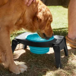Frisco Elevated Collapsible Travel Bowl -ROYAL CANIN Shop 216013 PT7. AC SS1800 V1605653830