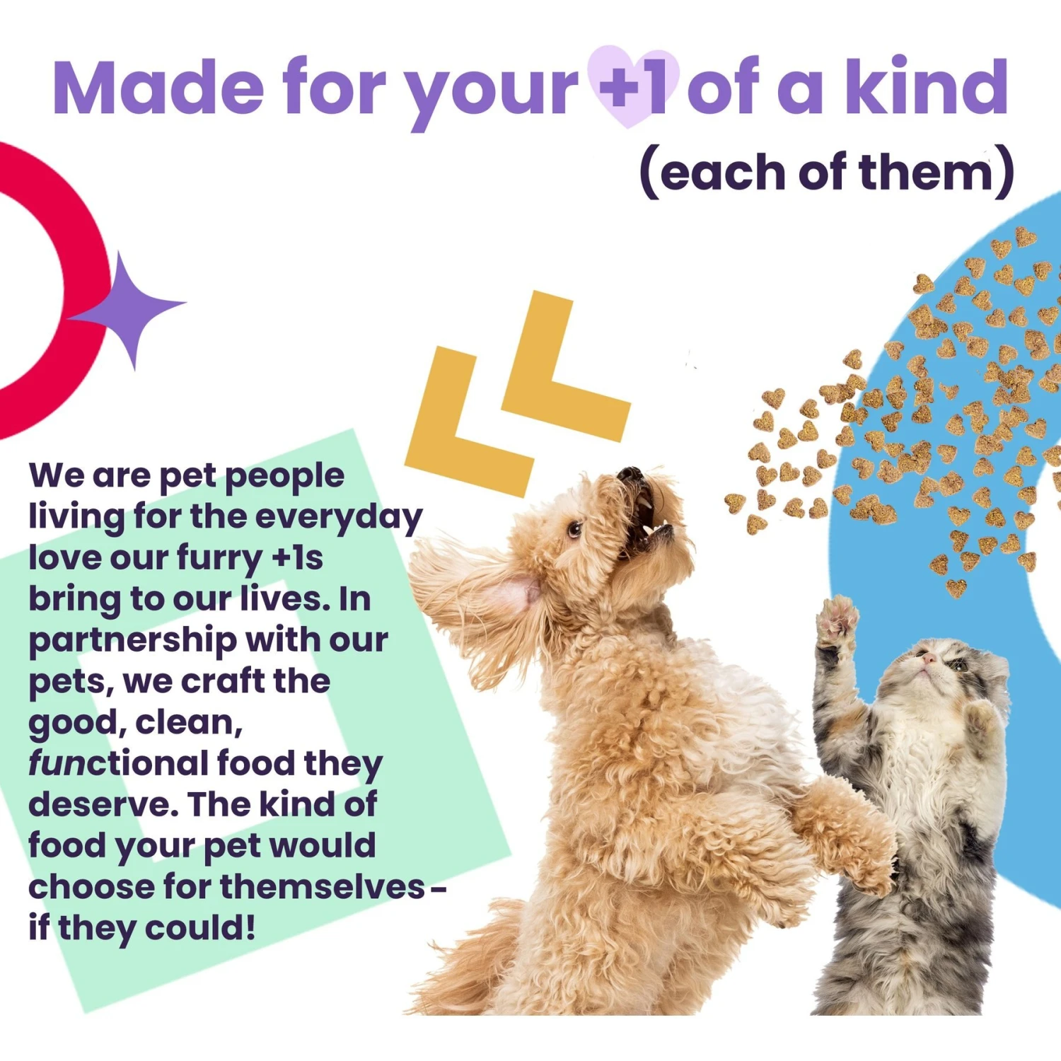 I And Love And You Naked Essentials Ancient Grain Chicken And Turkey Recipe Dry Dog Food 5 I And Love And You Naked Essentials Ancient Grain Chicken And Turkey Recipe Dry Dog Food - Image 5