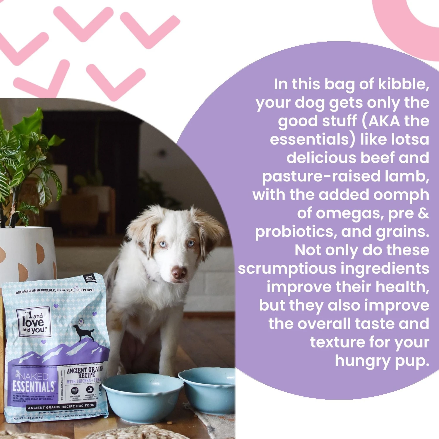 I And Love And You Naked Essentials Ancient Grain Beef And Lamb Recipe Dry Dog Food 3 I And Love And You Naked Essentials Ancient Grain Beef And Lamb Recipe Dry Dog Food - Image 3