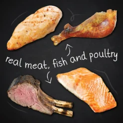 Hound & Gatos Grain-Free Cage Free Chicken Recipe Dry Dog Food -ROYAL CANIN Shop 217783 PT3. AC SS1800 V1588770717