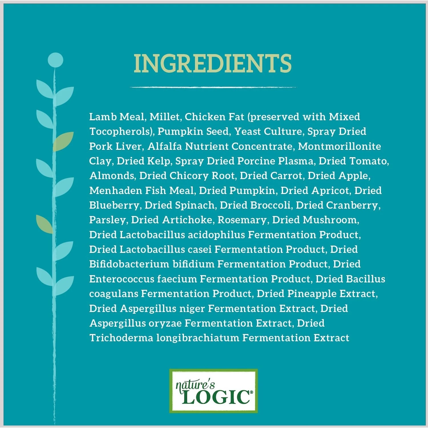 Nature's Logic Canine Lamb Meal Feast All Life Stages Dry Dog Food 6 Nature's Logic Canine Lamb Meal Feast All Life Stages Dry Dog Food - Image 6