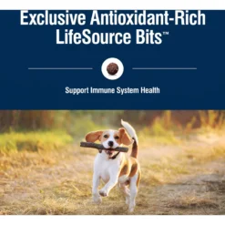 Blue Buffalo True Solutions Healthy Weight Natural Weight Control Chicken Adult Dry Dog Food 15 Blue Buffalo True Solutions Healthy Weight Natural Weight Control Chicken Adult Dry Dog Food -ROYAL CANIN Shop 218276 PT6. AC SS1800 V1676653966