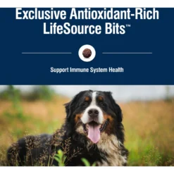 Blue Buffalo True Solutions Blissful Belly Digestive Care Formula Dry Dog Food -ROYAL CANIN Shop 218287 PT6. AC SS1800 V1696449661