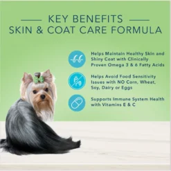 Blue Buffalo True Solutions Perfect Skin & Coat Natural Salmon Adult Dry Dog Food 10 Blue Buffalo True Solutions Perfect Skin & Coat Natural Salmon Adult Dry Dog Food -ROYAL CANIN Shop 218298 PT2. AC SS1800 V1696449987