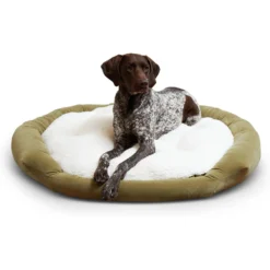 Happy Hounds Marley Donut Dog Bed -ROYAL CANIN Shop 219123 PT2. AC SS1800 V1698936683