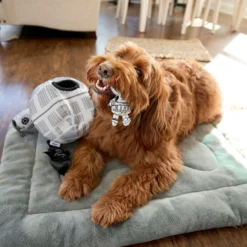 STAR WARS DEATH STAR Hide & Seek Puzzle Plush Squeaky Dog Toy 7 STAR WARS DEATH STAR Hide & Seek Puzzle Plush Squeaky Dog Toy -ROYAL CANIN Shop 220665 PT3. AC SS1800 V1682541054