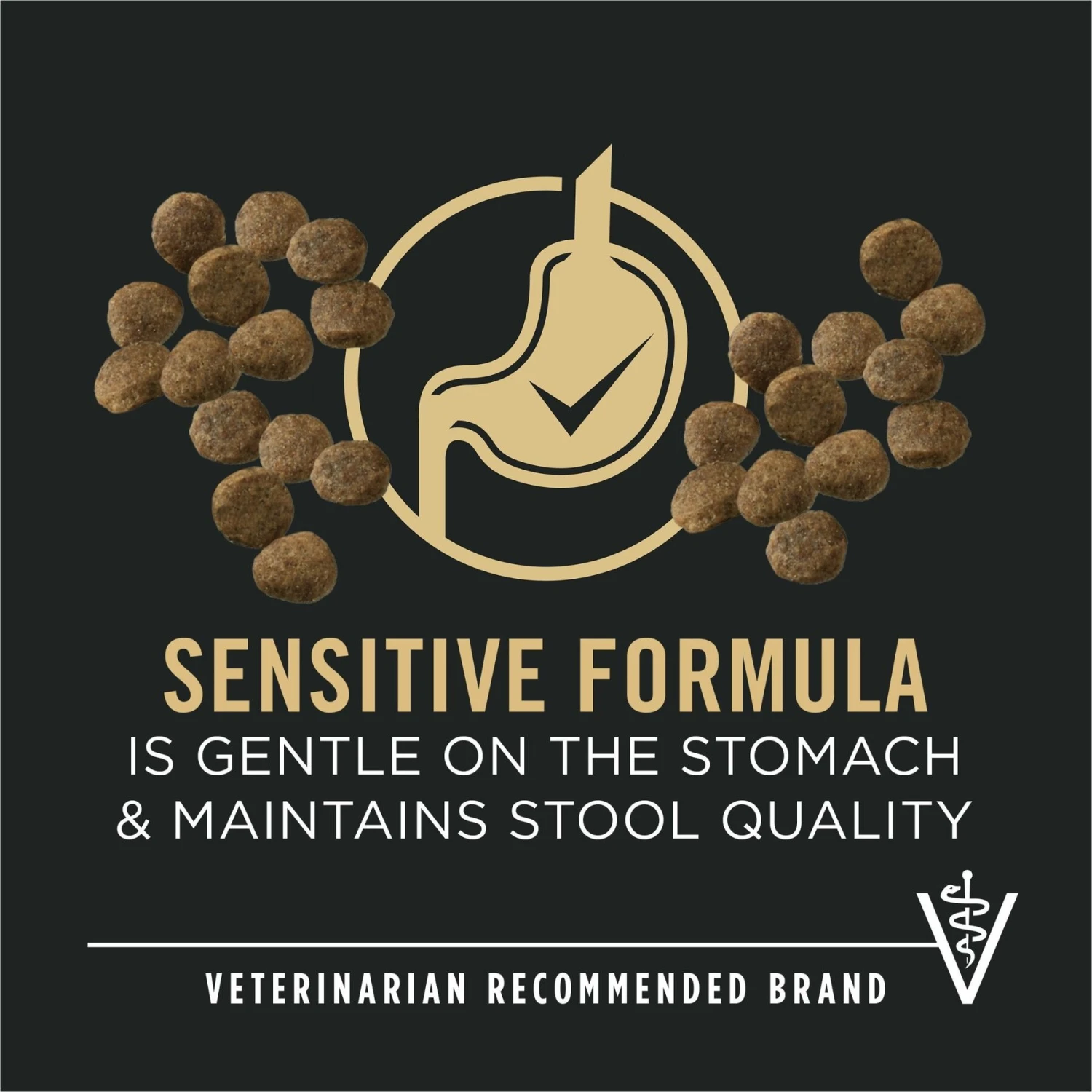 Purina Pro Plan Puppy Sensitive Skin & Stomach Salmon & Rice Dry Dog Food 3 Purina Pro Plan Puppy Sensitive Skin & Stomach Salmon & Rice Dry Dog Food - Image 3