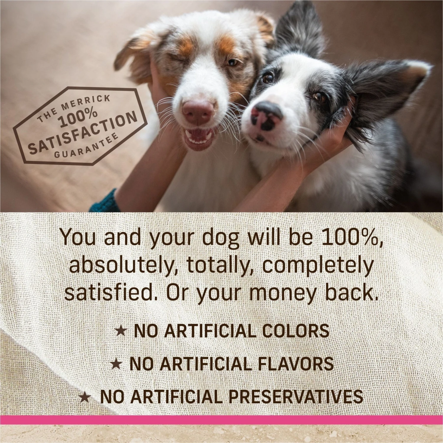 Merrick Classic Healthy Grains Small Breed Recipe Adult Dry Dog Food 7 Merrick Classic Healthy Grains Small Breed Recipe Adult Dry Dog Food - Image 7