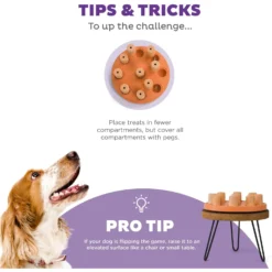 Nina Ottosson By Outward Hound Dog Smart Composite Dog Toy -ROYAL CANIN Shop 226720 PT3. AC SS1800 V1694439632