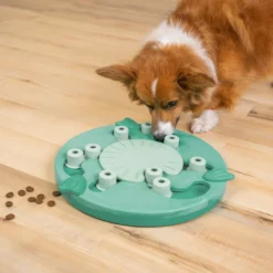 Nina Ottosson By Outward Hound Dog Worker Green Interactive Treat Puzzle Dog Toy -ROYAL CANIN Shop 226722 PT4. AC SS1800 V1694286039