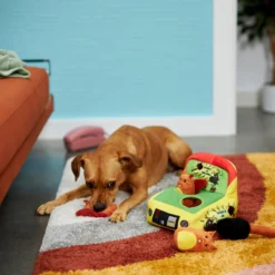 Frisco Retro Smack-a-Squirrel Hide & Seek Puzzle Plush Squeaky Dog Toy -ROYAL CANIN Shop 230313 PT3. AC SS1800 V1601947334