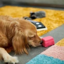 Frisco Retro Funky Van TPE Treat Dispenser Dog Toy, Medium/Large -ROYAL CANIN Shop 230383 PT4. AC SS1800 V1669908614